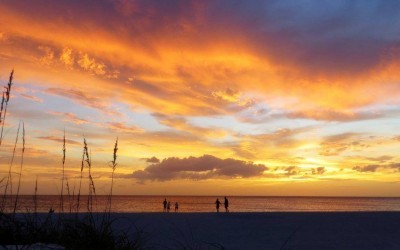 Florida tops list of most-desirable states